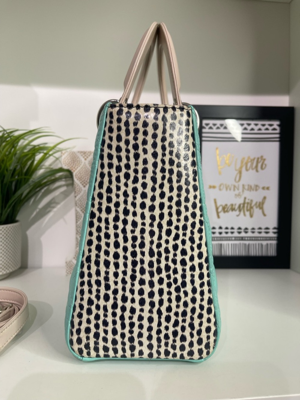 Dior Quilted Lady Dior Medium Python Silver Hardware - Picture 4 of 7